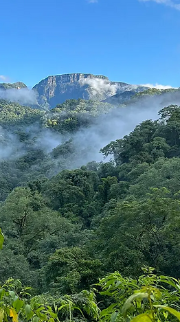 parque nacional calilegua
