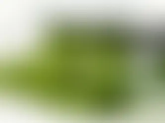 Conviene il robot tagliaerba? Pro, contro e costi