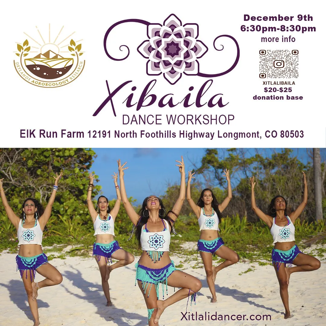 Xibaila Dance Workshop