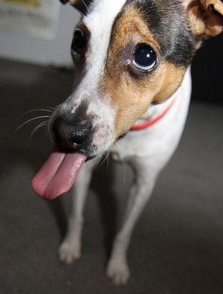 Blog 18
