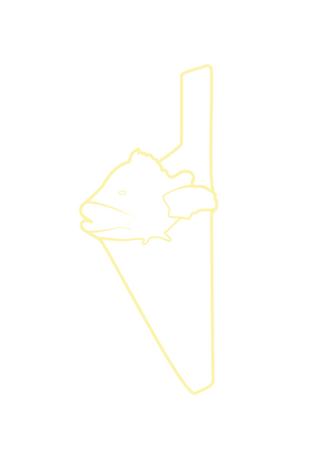 Logo Incantu