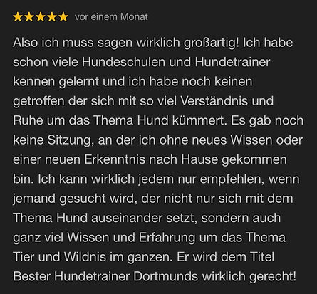Positive Kundenbewertung für die Hundeschule Canine Soulutions