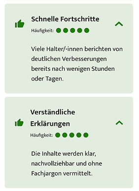 KI Analyse der Kundenbewertungen von Canine Soulutions