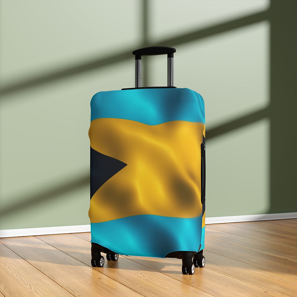 Thumbnail: Bahamas Luggage Cover