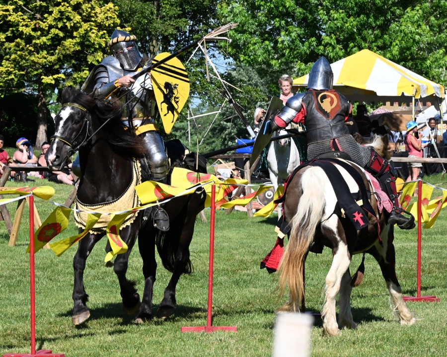 NJ Renaissance Faire - joust.webp