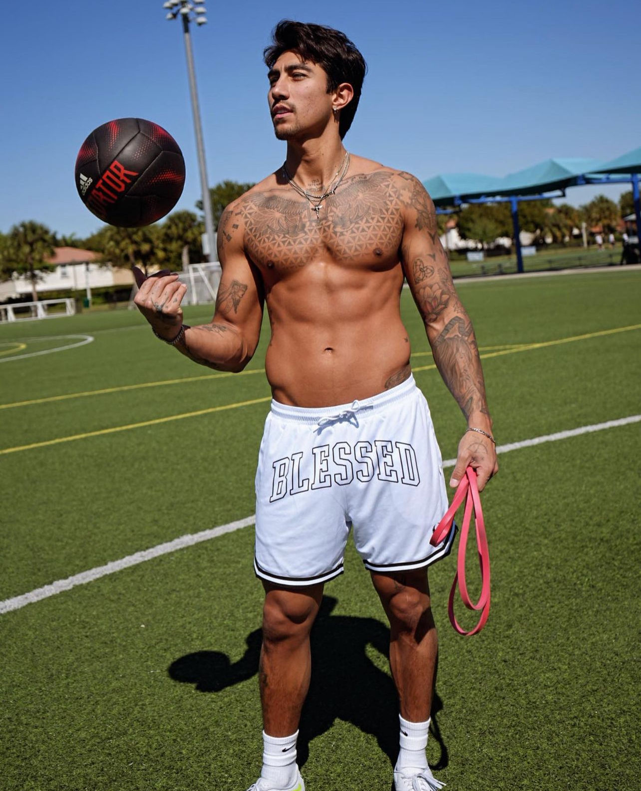 Vitalwhite Flex Shorts