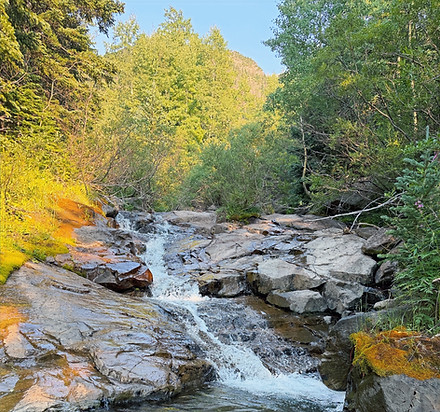 North Taylor Creek_edited.jpg