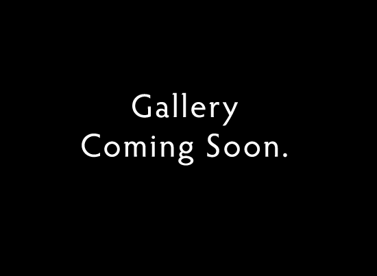 Gallery Coming Soon