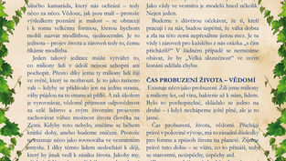 ZÁKON ZRCADLENÍ - RAMENO VAH