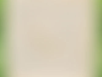 ZÁKON ZRCADLENÍ - RAMENO VAH