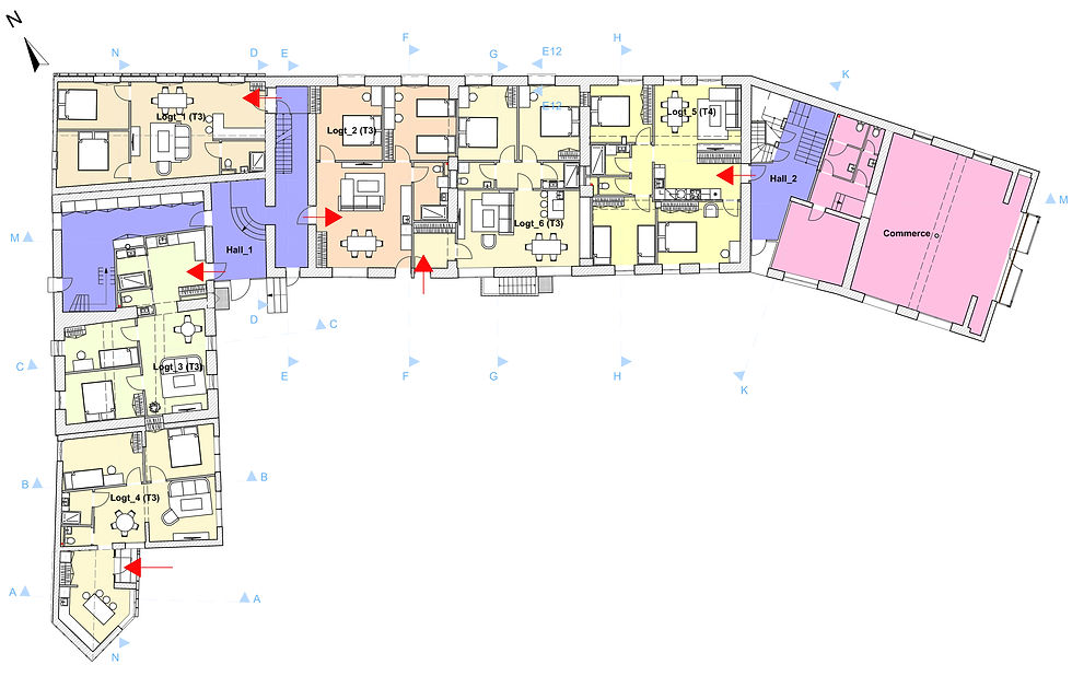 Plan d’étage coloré d’un immeuble, avec logements, halls et commerce; flèches rouges et étiquettes visibles.