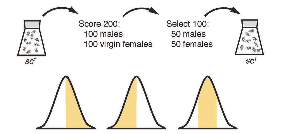 Supplemental Figures_Page_3.jpg