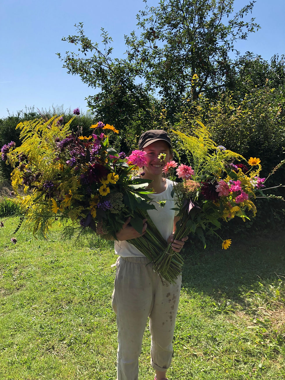 Opening bloemenplukseizoen
