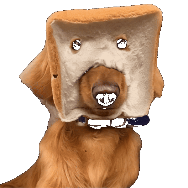 Goofy Golden Retriever Bread Mask
