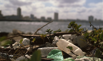 Trash on Beach