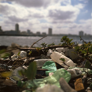 Trash on Beach