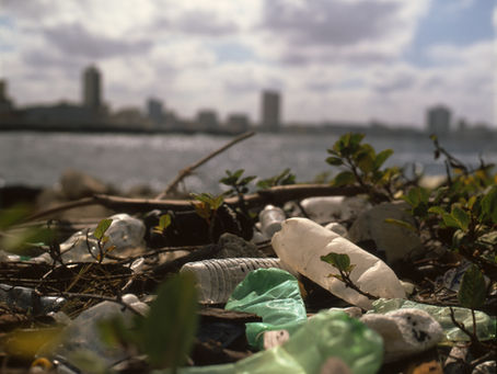 OF ALL EVILS: Plastic Changed Our World