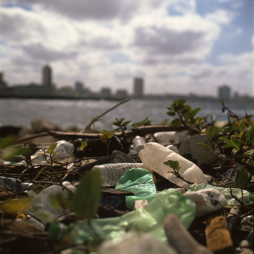 Pollution Near Water