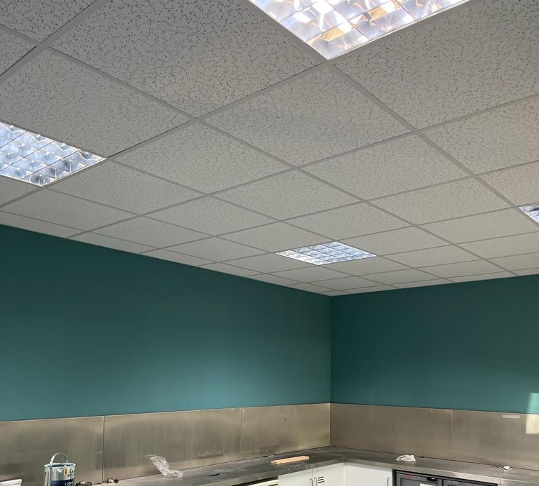 Suspended Grid Ceiling
