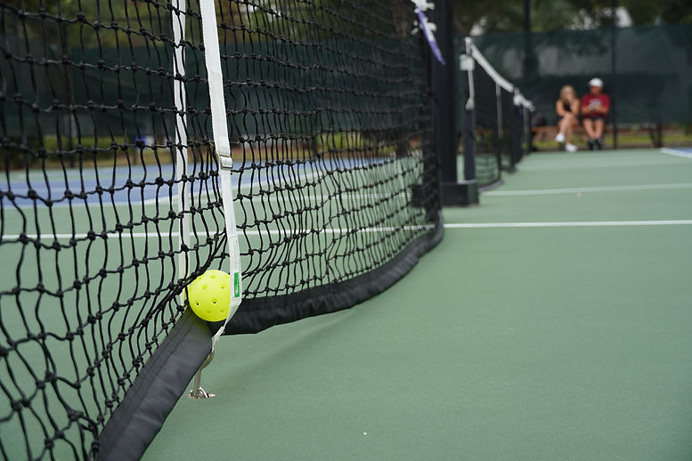 net ball shot.JPG