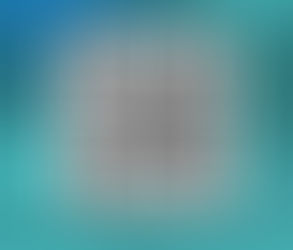 Monroe County Natural Hazards Questionnaire