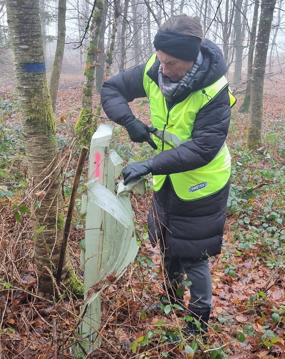 Cleanwalkerin im Wald am 2. Dez. 2025