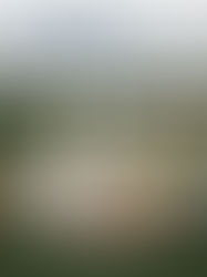 宴藝之美:從戶外婚禮到到府外燴的極致饗宴