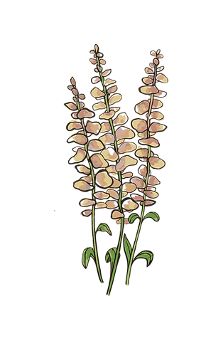 Floral Design-10.png