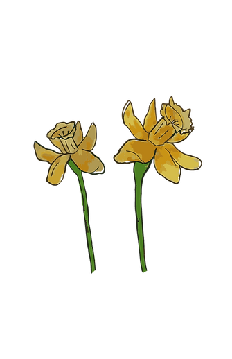 Floral Design-15.png