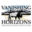 Vanishing Horizons