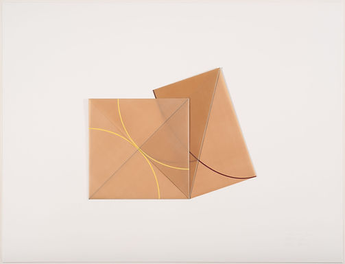 The Menil Collection