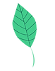 imageedit_2_9334340839.png