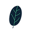 imageedit_1_7877727156.png