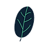 imageedit_1_7877727156.png