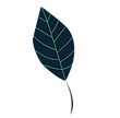 imageedit_1_2986284768.png