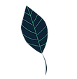 imageedit_1_2986284768.png