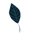 imageedit_1_2986284768.png