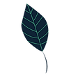 imageedit_1_2986284768.png