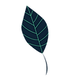 imageedit_1_2986284768.png