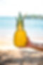 Pineapple insides after halved.jpg