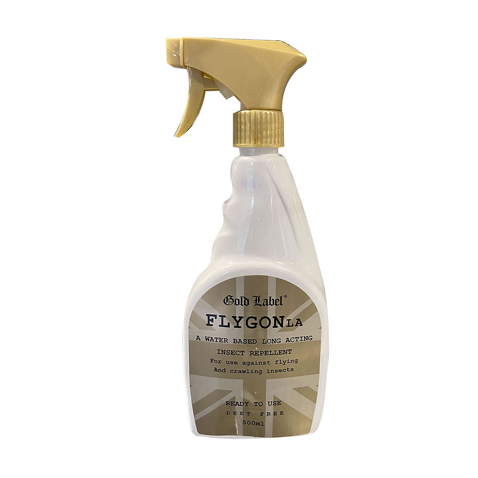 Flygon 500ML
