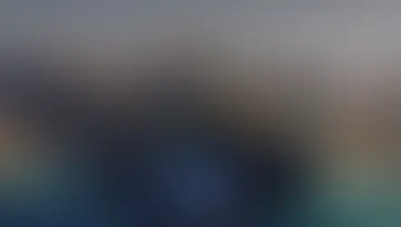 네옴 먹튀 피해 내용 토토사이트 정보 공유 사설에이전트