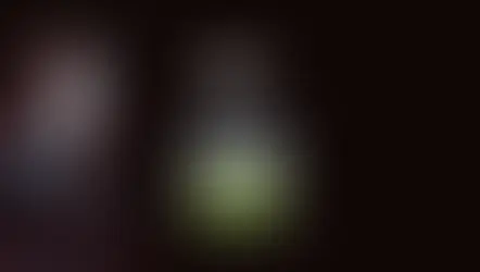 더 래빗 먹튀 피해 내용 토토사이트 정보 공유 사설에이전트