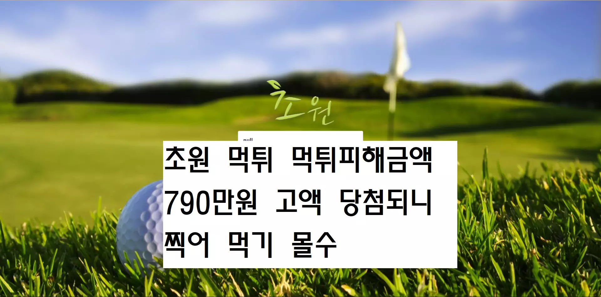 초원 먹튀사이트