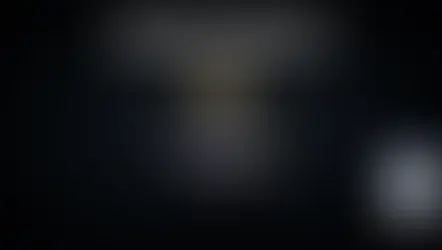 위키벳 먹튀 역대급 피해금액 발생 1억 160만원 먹튀 피해 제보