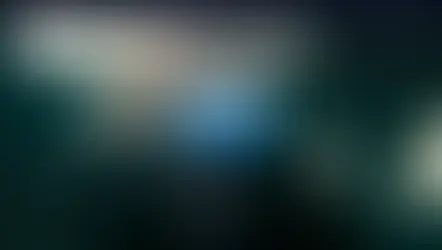 스타링크 먹튀 피해 내용 금액 5500만원 스타링크 먹튀 확정