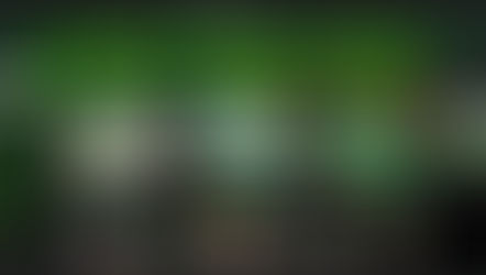 메이드 먹튀 피해 내용 토토사이트 정보 공유 사설에이전트