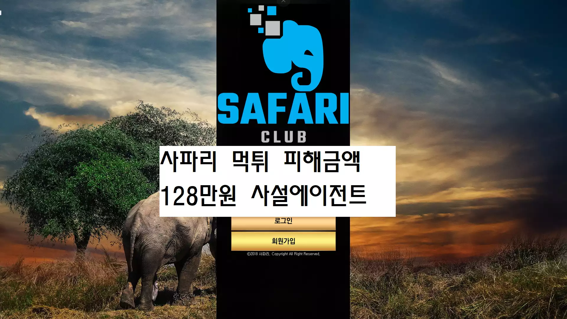 사파리 먹튀사이트