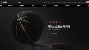 필 먹튀 피해 내용 토토사이트 정보 공유 사설에이전트