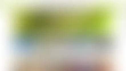 새싹 먹튀 규정위반이라며 경고도 없이 전액 먹튀